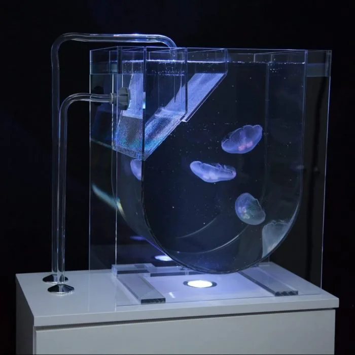 Medusa 45 Jellyfish Aquarium