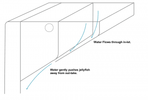 Medusa Jellyfish aquarium diagram