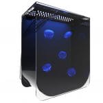Medusa Mini Jellyfish Aquarium Tank for keeping pet jellyfish at home.